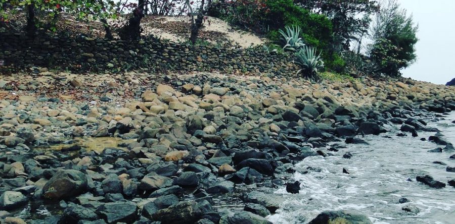 VẺ ĐẸP CỦA VÙNG ĐẤT PHÚ YÊN THƠ MỘNG